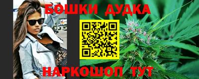 хмурый Гатчина